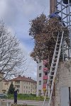 01.04.2023 Osterputz